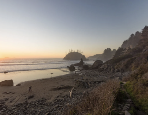 https://www.stayintheredwoods.com/RedwoodRetro/