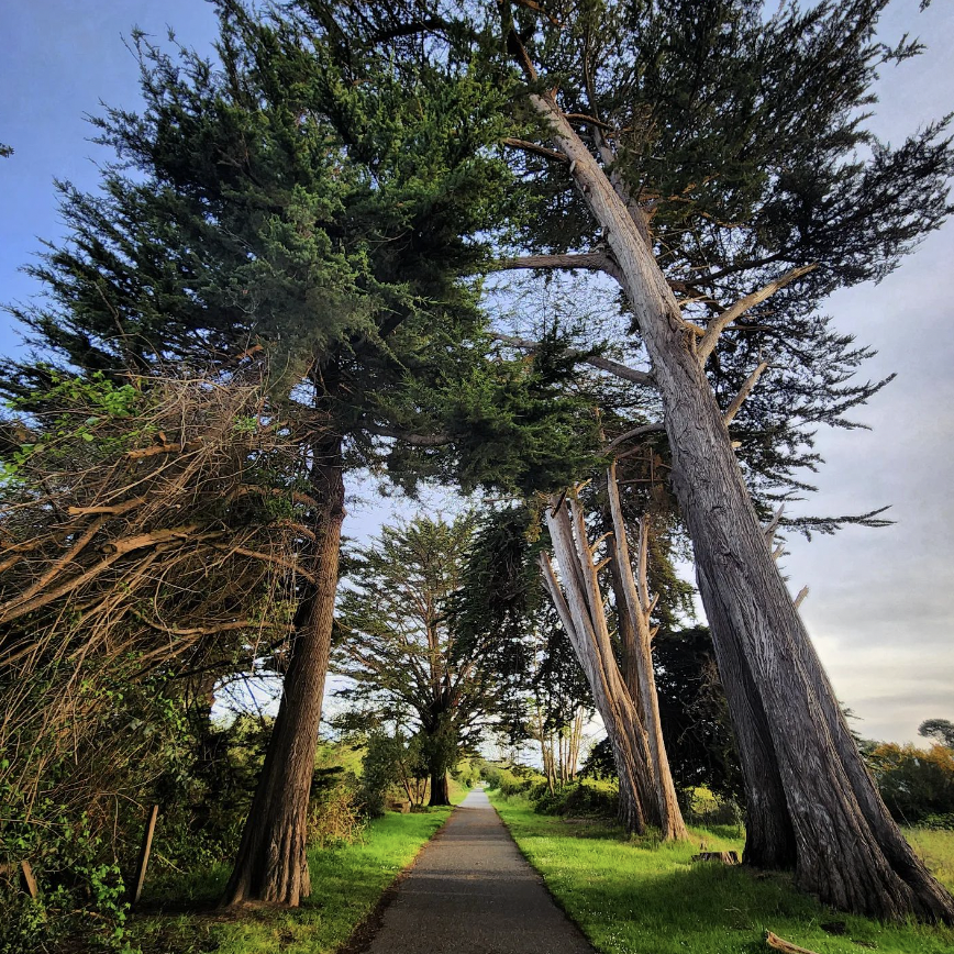 biking trails humboldt county