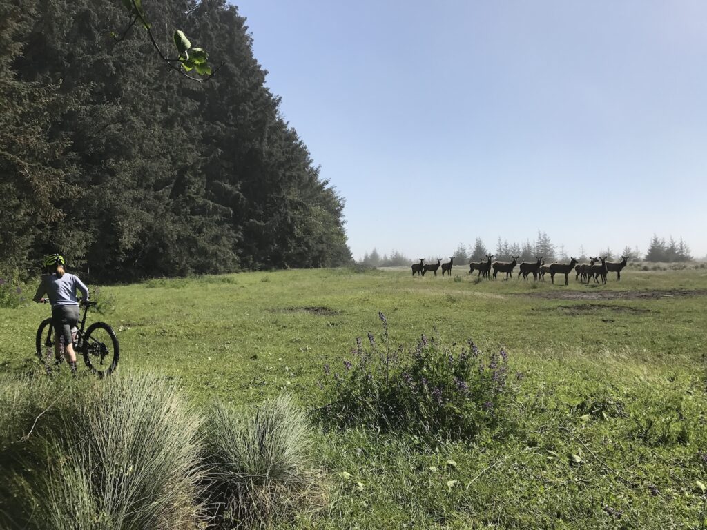 biking trails humboldt county 