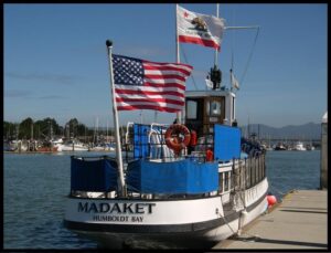 redwood forest tours