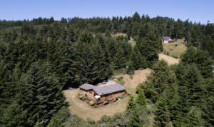 cabins in the redwoods